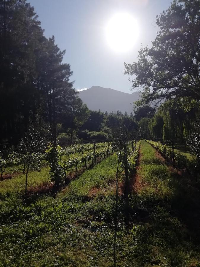Cabernet Cottage Franschhoek Eksteriør billede