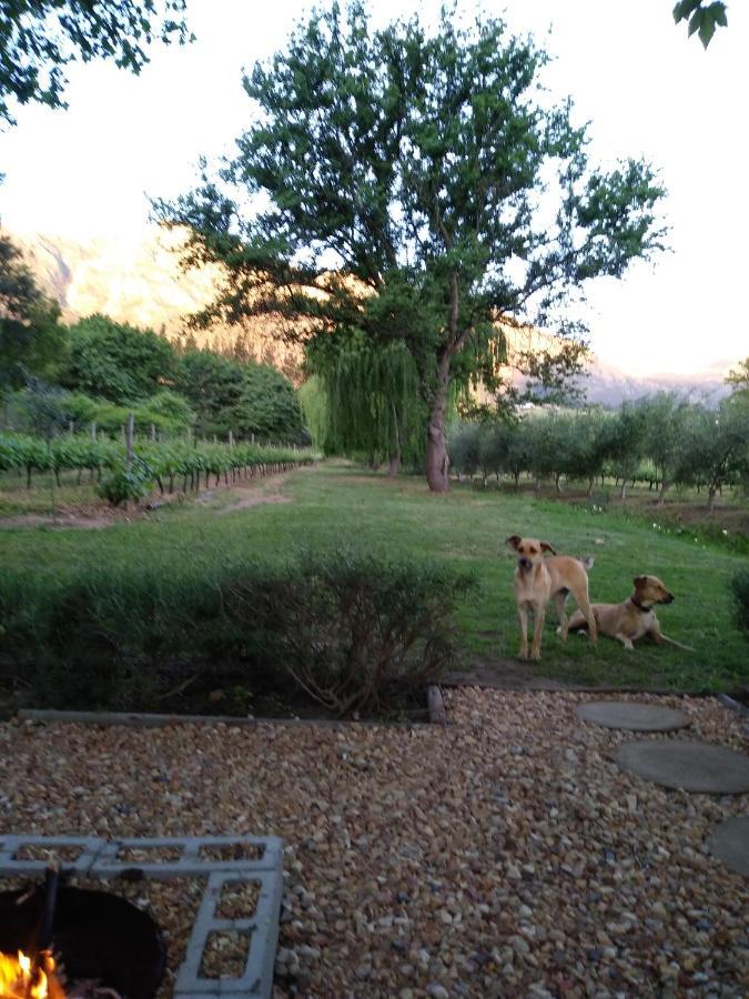 Cabernet Cottage Franschhoek Eksteriør billede