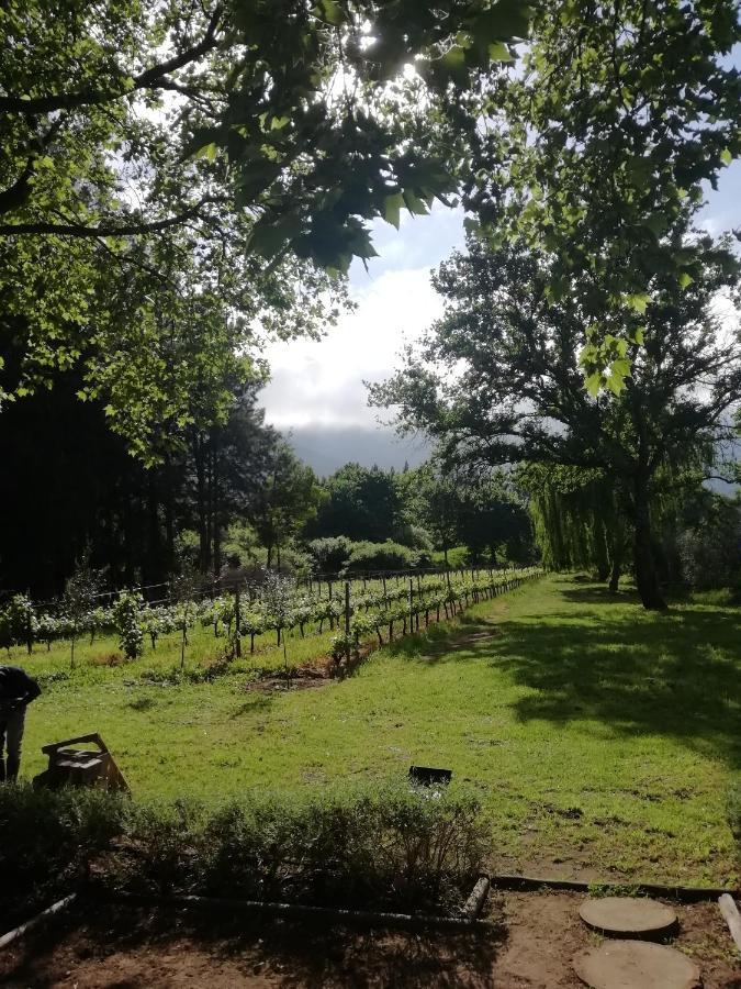 Cabernet Cottage Franschhoek Eksteriør billede