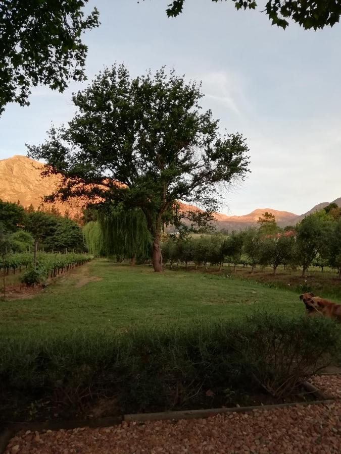 Cabernet Cottage Franschhoek Eksteriør billede